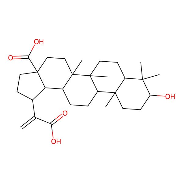 2D Structure of 1-(1-Carboxyethenyl)-9-hydroxy-5a,5b,8,8,11a-pentamethyl-1,2,3,4,5,6,7,7a,9,10,11,11b,12,13,13a,13b-hexadecahydrocyclopenta[a]chrysene-3a-carboxylic acid