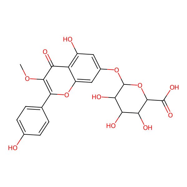 2D Structure of (2S,3S,4S,5R,6S)-3,4,5-trihydroxy-6-[5-hydroxy-2-(4-hydroxyphenyl)-3-methoxy-4-oxochromen-7-yl]oxyoxane-2-carboxylic acid