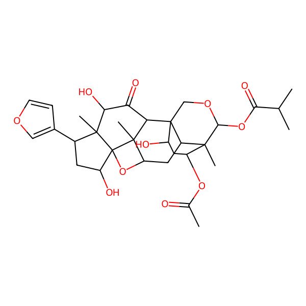 2D Structure of [(1S,2R,4R,5R,6S,8R,9S,10S,11R,13R,14R,15S,18S,20R)-20-acetyloxy-6-(furan-3-yl)-4,8,18-trihydroxy-5,10,14-trimethyl-3-oxo-16,21-dioxahexacyclo[12.3.3.19,11.01,13.02,10.05,9]henicosan-15-yl] 2-methylpropanoate