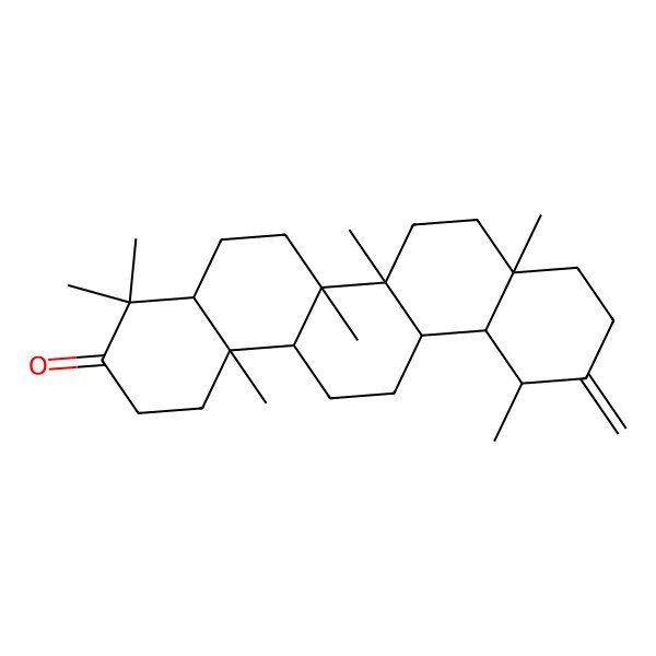 2D Structure of (4aR,6aR,6aR,6bR,8aR,12S,12aS,14aR,14bR)-4,4,6a,6b,8a,12,14b-heptamethyl-11-methylidene-2,4a,5,6,6a,7,8,9,10,12,12a,13,14,14a-tetradecahydro-1H-picen-3-one 2D Structure of (4aR,6aR,6aR,6bR,8aR,12S,12aS,14aR,14bR)-4,4,6a,6b,8a,12,14b-heptamethyl-11-methylidene-2,4a,5,6,6a,7,8,9,10,12,12a,13,14,14a-tetradecahydro-1H-picen-3-one