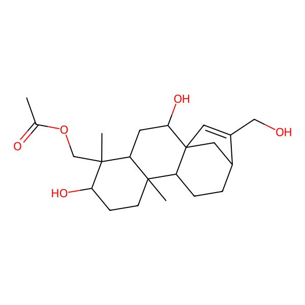 2D Structure of [(1R,2S,4S,5S,6R,9S,10S,13R)-2,6-dihydroxy-14-(hydroxymethyl)-5,9-dimethyl-5-tetracyclo[11.2.1.01,10.04,9]hexadec-14-enyl]methyl acetate