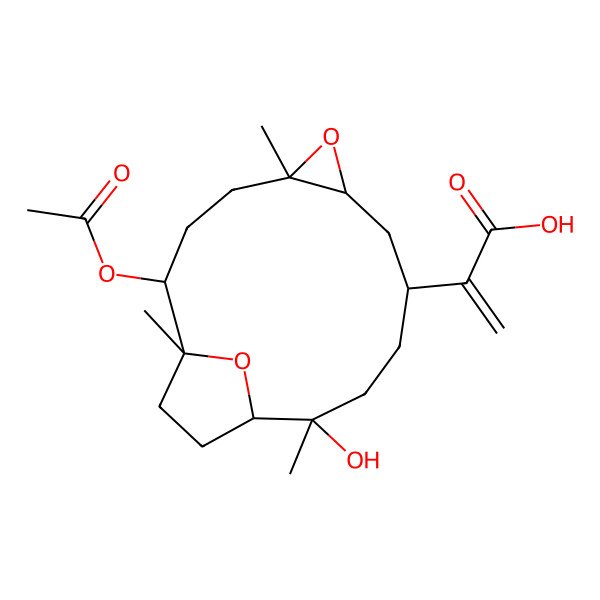 2D Structure of 2-[(1R,2S,5S,7S,9R,12R,13S)-2-acetyloxy-12-hydroxy-1,5,12-trimethyl-6,16-dioxatricyclo[11.2.1.05,7]hexadecan-9-yl]prop-2-enoic acid