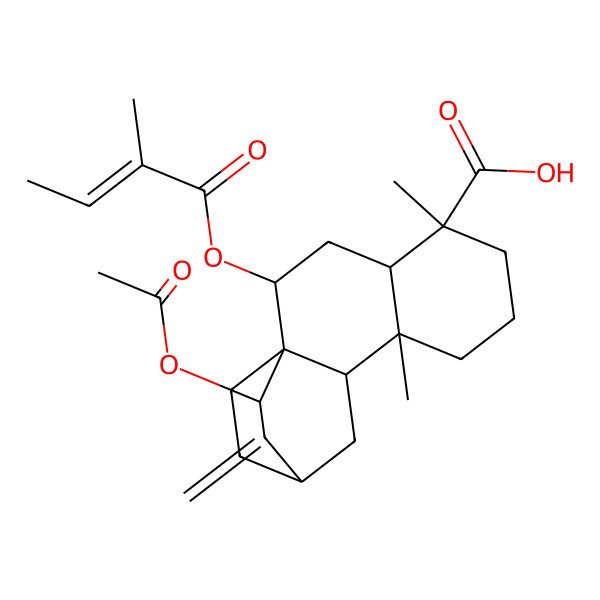 2D Structure of (1R,2S,4S,5R,9S,10S,12S,14R)-14-acetyloxy-5,9-dimethyl-2-[(Z)-2-methylbut-2-enoyl]oxy-13-methylidenetetracyclo[10.2.2.01,10.04,9]hexadecane-5-carboxylic acid