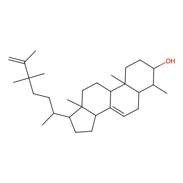 2D Structure of (3S,4S,5S,9R,10S,13R,14R,17R)-4,10,13-trimethyl-17-[(2R)-5,5,6-trimethylhept-6-en-2-yl]-2,3,4,5,6,9,11,12,14,15,16,17-dodecahydro-1H-cyclopenta[a]phenanthren-3-ol