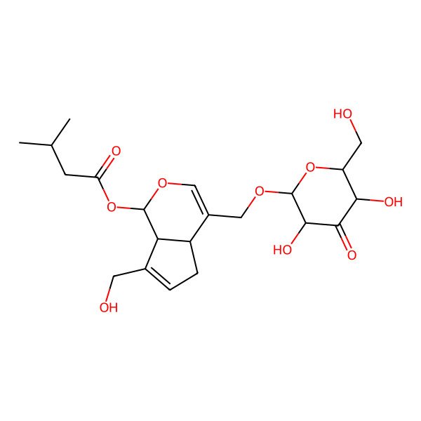 2D Structure of [(1S,4aS,7aS)-4-[[(2R,3S,5R,6R)-3,5-dihydroxy-6-(hydroxymethyl)-4-oxooxan-2-yl]oxymethyl]-7-(hydroxymethyl)-1,4a,5,7a-tetrahydrocyclopenta[c]pyran-1-yl] 3-methylbutanoate