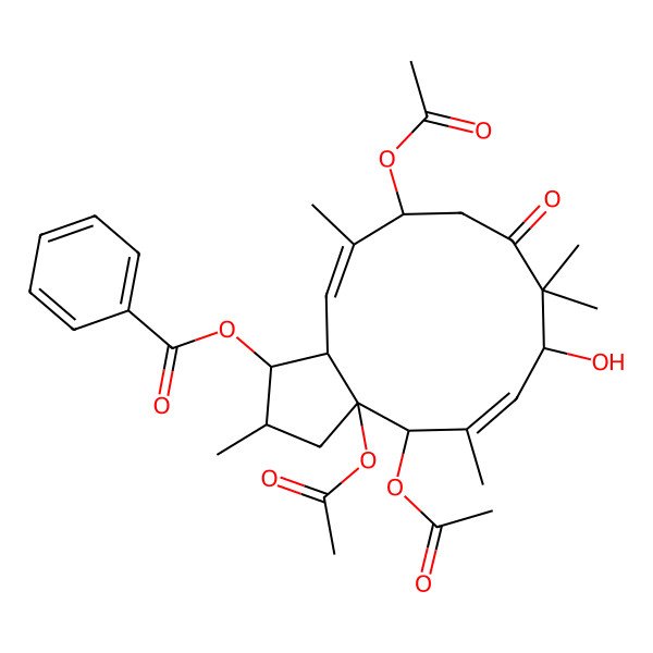 2D Structure of [(1S,2R,3aR,4R,5E,7R,11R,12E,13aS)-3a,4,11-triacetyloxy-7-hydroxy-2,5,8,8,12-pentamethyl-9-oxo-1,2,3,4,7,10,11,13a-octahydrocyclopenta[12]annulen-1-yl] benzoate