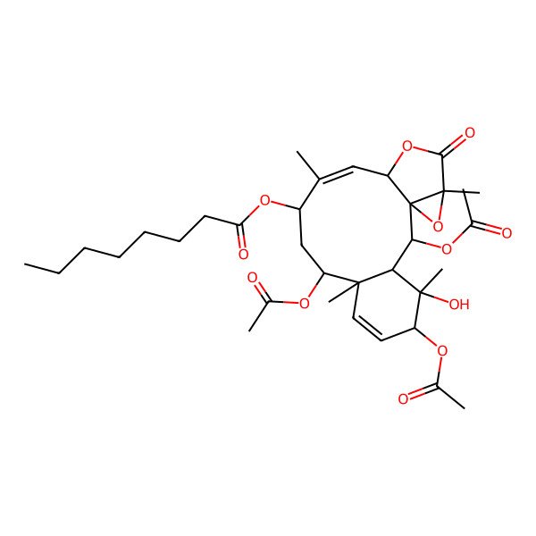 2D Structure of [(1S,2S,3S,4S,5R,8R,9S,11R,12Z,14S,17R)-2,5,9-triacetyloxy-4-hydroxy-4,8,12,17-tetramethyl-16-oxo-15,18-dioxatetracyclo[12.4.0.01,17.03,8]octadeca-6,12-dien-11-yl] octanoate