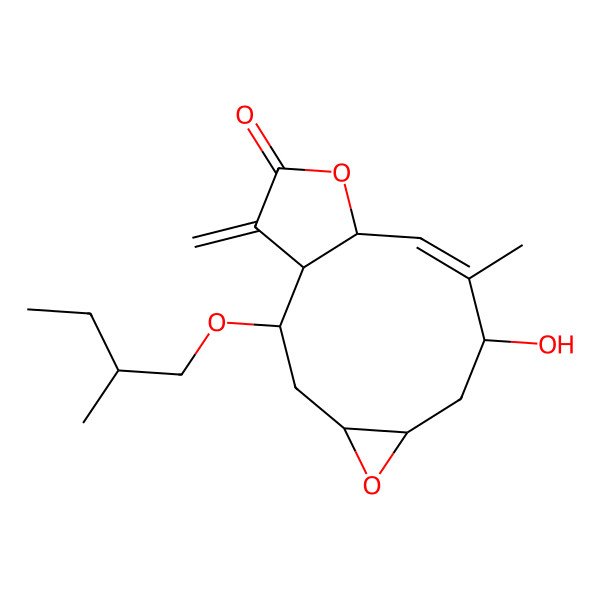 2D Structure of 8-Hydroxy-9-methyl-2-(2-methylbutoxy)-14-methylidene-5,12-dioxatricyclo[9.3.0.04,6]tetradec-9-en-13-one