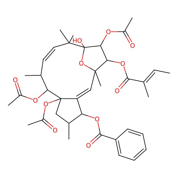 2D Structure of [(1R,2E,4S,5S,7R,8S,9R,10E,13S,14S,15R)-7,8,14-triacetyloxy-13-hydroxy-1,5,9,12,12-pentamethyl-15-[(E)-2-methylbut-2-enoyl]oxy-16-oxatricyclo[11.2.1.03,7]hexadeca-2,10-dien-4-yl] benzoate