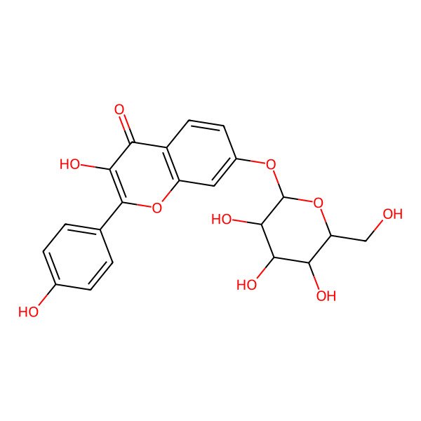 2D Structure of 3-hydroxy-2-(4-hydroxyphenyl)-7-[(2S,3R,4S,5S,6R)-3,4,5-trihydroxy-6-(hydroxymethyl)oxan-2-yl]oxychromen-4-one