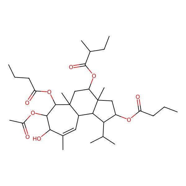 2D Structure of [7-Acetyloxy-2,6-di(butanoyloxy)-8-hydroxy-3a,5a,9-trimethyl-1-propan-2-yl-1,2,3,4,5,6,7,8,10a,10b-decahydrocyclohepta[e]inden-4-yl] 2-methylbutanoate