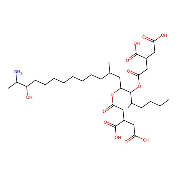 2D Structure of 2-[2-({19-Amino-6-[(3,4-dicarboxybutanoyl)oxy]-18-hydroxy-5,9-dimethylicosan-7-yl}oxy)-2-oxoethyl]butanedioic acid