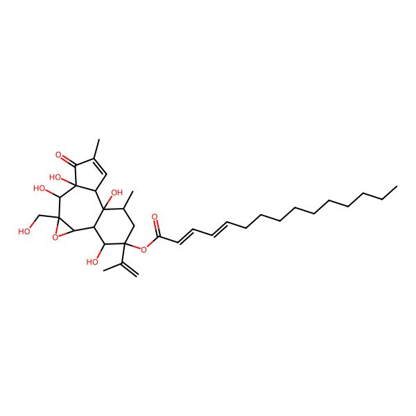 2D Structure of [5,6,11,15-Tetrahydroxy-4-(hydroxymethyl)-8,12-dimethyl-7-oxo-14-prop-1-en-2-yl-3-oxatetracyclo[9.4.0.02,4.06,10]pentadec-8-en-14-yl] pentadeca-2,4-dienoate