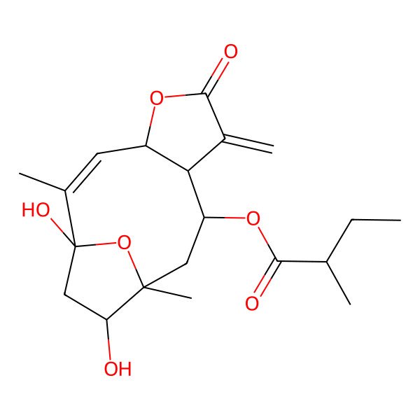 2D Structure of [(1R,2Z,4S,8R,9R,11R,12R)-1,12-dihydroxy-2,11-dimethyl-7-methylidene-6-oxo-5,14-dioxatricyclo[9.2.1.04,8]tetradec-2-en-9-yl] (2R)-2-methylbutanoate