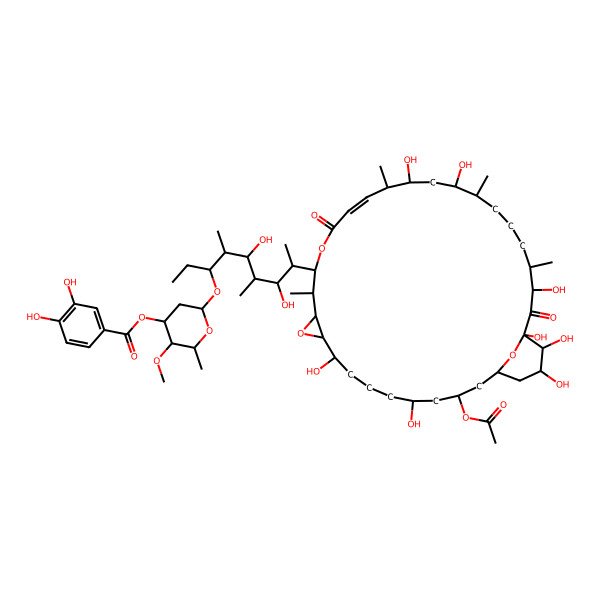 2D Structure of [6-[8-(3-Acetyloxy-5,9,20,22,28,30,31,32-octahydroxy-13,19,23,27-tetramethyl-16,29-dioxo-11,15,34-trioxatricyclo[28.3.1.010,12]tetratriacont-17-en-14-yl)-5,7-dihydroxy-4,6-dimethylnonan-3-yl]oxy-3-methoxy-2-methyloxan-4-yl] 3,4-dihydroxybenzoate