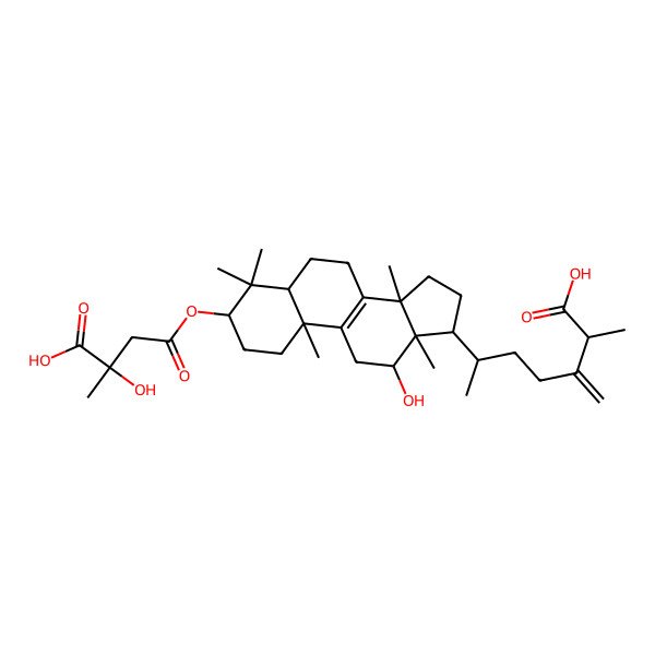 2D Structure of (2S,6R)-6-[(3R,5R,10S,12S,13R,14S,17R)-3-[(3S)-3-carboxy-3-hydroxybutanoyl]oxy-12-hydroxy-4,4,10,13,14-pentamethyl-2,3,5,6,7,11,12,15,16,17-decahydro-1H-cyclopenta[a]phenanthren-17-yl]-2-methyl-3-methylideneheptanoic acid