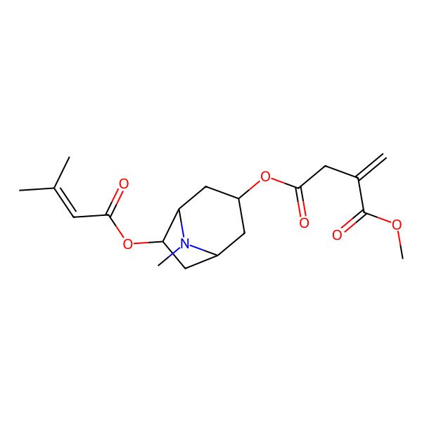 2D Structure of 1-O-methyl 4-O-[8-methyl-6-(3-methylbut-2-enoyloxy)-8-azabicyclo[3.2.1]octan-3-yl] 2-methylidenebutanedioate