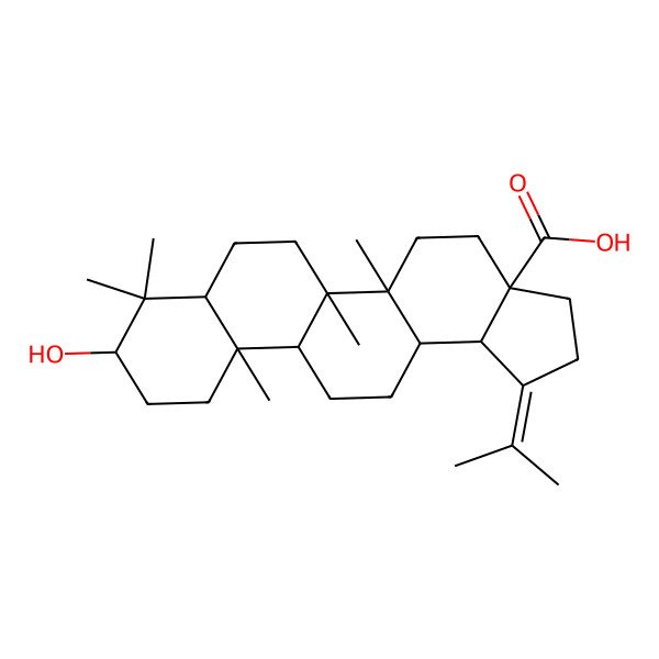 2D Structure of 9-hydroxy-5a,5b,8,8,11a-pentamethyl-1-propan-2-ylidene-3,4,5,6,7,7a,9,10,11,11b,12,13,13a,13b-tetradecahydro-2H-cyclopenta[a]chrysene-3a-carboxylic acid