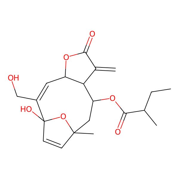 2D Structure of [(1S,2Z,4R,8R,9R,11R)-1-hydroxy-2-(hydroxymethyl)-11-methyl-7-methylidene-6-oxo-5,14-dioxatricyclo[9.2.1.04,8]tetradeca-2,12-dien-9-yl] (2R)-2-methylbutanoate