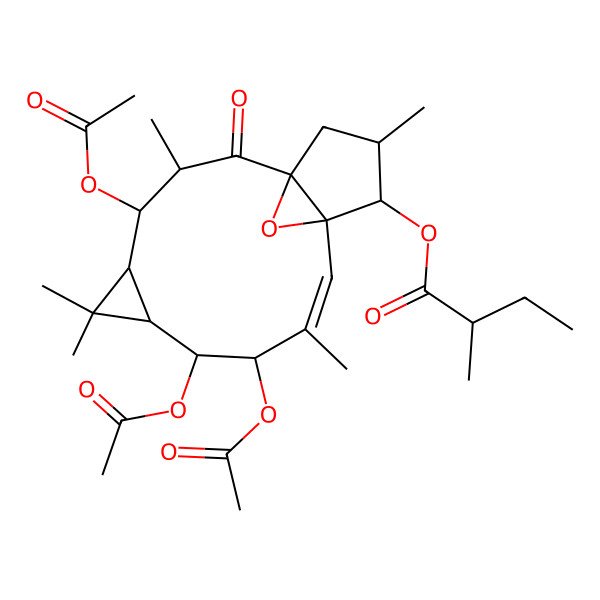 2D Structure of [(1R,3R,4R,5R,7S,8S,9R,10E,12S,13S,14S)-4,8,9-triacetyloxy-3,6,6,10,14-pentamethyl-2-oxo-16-oxatetracyclo[10.3.1.01,12.05,7]hexadec-10-en-13-yl] (2R)-2-methylbutanoate