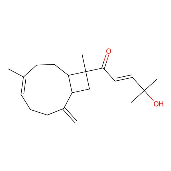 2D Structure of (E)-1-[(1S,5E,9R,10R)-6,10-dimethyl-2-methylidene-10-bicyclo[7.2.0]undec-5-enyl]-4-hydroxy-4-methylpent-2-en-1-one