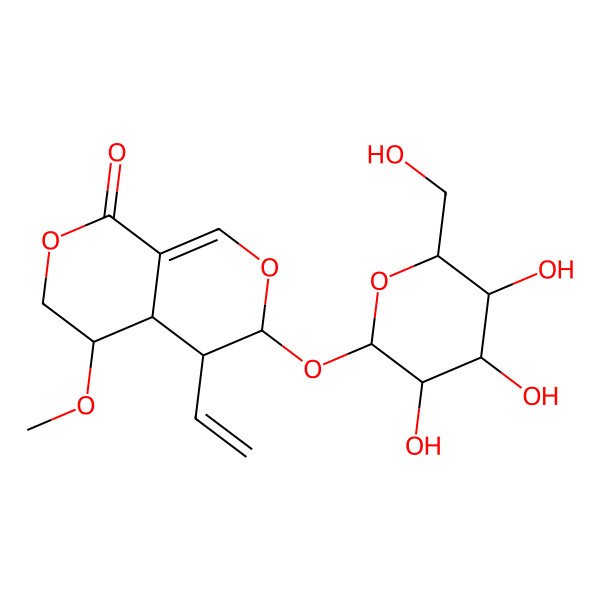 2D Structure of (3S,4R,4aS,5S)-4-ethenyl-5-methoxy-3-[(2S,3R,4S,5S,6R)-3,4,5-trihydroxy-6-(hydroxymethyl)oxan-2-yl]oxy-4,4a,5,6-tetrahydro-3H-pyrano[3,4-c]pyran-8-one