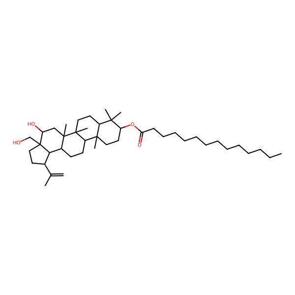 2D Structure of [4-Hydroxy-3a-(hydroxymethyl)-5a,5b,8,8,11a-pentamethyl-1-prop-1-en-2-yl-1,2,3,4,5,6,7,7a,9,10,11,11b,12,13,13a,13b-hexadecahydrocyclopenta[a]chrysen-9-yl] tetradecanoate
