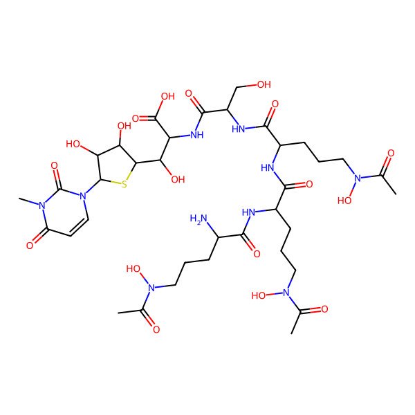 2D Structure of 2-[[2-[[5-[acetyl(hydroxy)amino]-2-[[5-[acetyl(hydroxy)amino]-2-[[5-[acetyl(hydroxy)amino]-2-aminopentanoyl]amino]pentanoyl]amino]pentanoyl]amino]-3-hydroxypropanoyl]amino]-3-[(2R,3S,4R,5R)-3,4-dihydroxy-5-(3-methyl-2,4-dioxopyrimidin-1-yl)thiolan-2-yl]-3-hydroxypropanoic acid