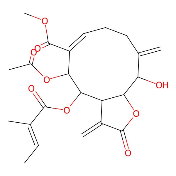 2D Structure of methyl 5-acetyloxy-11-hydroxy-4-(2-methylbut-2-enoyloxy)-3,10-dimethylidene-2-oxo-4,5,8,9,11,11a-hexahydro-3aH-cyclodeca[b]furan-6-carboxylate