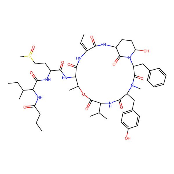 2D Structure of (2S,3S)-N-[(2S)-1-[[(2S,5S,8S,11R,12S,15E,18S,21R)-2-benzyl-15-ethylidene-21-hydroxy-5-[(4-hydroxyphenyl)methyl]-4,11-dimethyl-3,6,9,13,16,22-hexaoxo-8-propan-2-yl-10-oxa-1,4,7,14,17-pentazabicyclo[16.3.1]docosan-12-yl]amino]-4-methylsulfinyl-1-oxobutan-2-yl]-2-(butanoylamino)-3-methylpentanamide