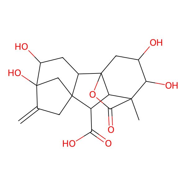 2D Structure of (1R,2R,4S,5S,8S,9S,10R,11S,12R,13S)-4,5,12,13-tetrahydroxy-11-methyl-6-methylidene-16-oxo-15-oxapentacyclo[9.3.2.15,8.01,10.02,8]heptadecane-9-carboxylic acid