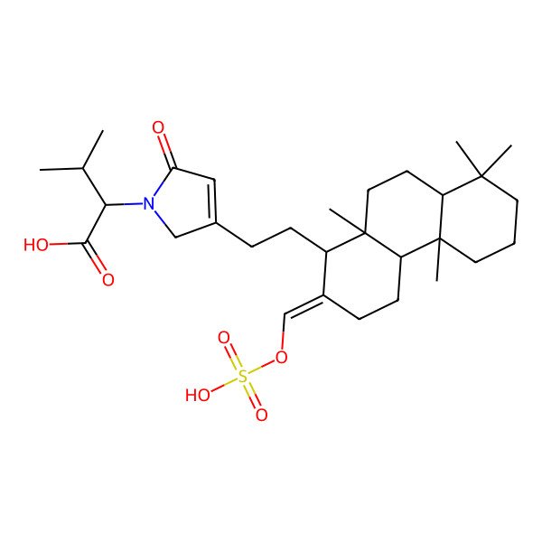 2D Structure of (2S)-2-[3-[2-[(1R,2E,4aR,4bS,8aS,10aS)-4b,8,8,10a-tetramethyl-2-(sulfooxymethylidene)-1,3,4,4a,5,6,7,8a,9,10-decahydrophenanthren-1-yl]ethyl]-5-oxo-2H-pyrrol-1-yl]-3-methylbutanoic acid
