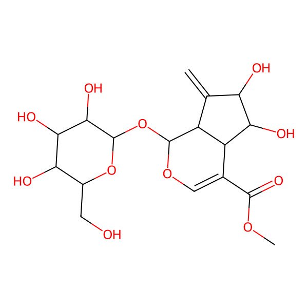 2D Structure of methyl (1S,4aS,5S,6S,7aS)-5,6-dihydroxy-7-methylidene-1-[(2S,3R,4S,5S,6R)-3,4,5-trihydroxy-6-(hydroxymethyl)oxan-2-yl]oxy-4a,5,6,7a-tetrahydro-1H-cyclopenta[c]pyran-4-carboxylate