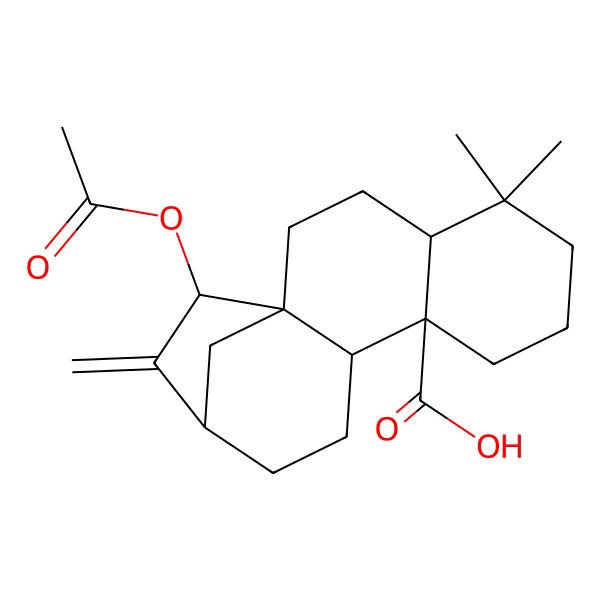 2D Structure of (1R,4R,9S,10R,13R,15R)-15-acetyloxy-5,5-dimethyl-14-methylidenetetracyclo[11.2.1.01,10.04,9]hexadecane-9-carboxylic acid