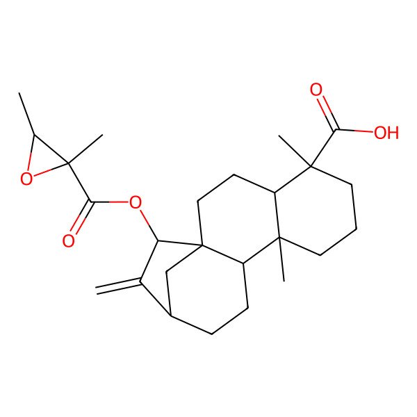 2D Structure of (1R,4S,5R,9S,10S,13R,15S)-15-[(2S,3R)-2,3-dimethyloxirane-2-carbonyl]oxy-5,9-dimethyl-14-methylidenetetracyclo[11.2.1.01,10.04,9]hexadecane-5-carboxylic acid