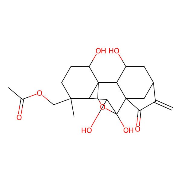 2D Structure of [(1R,2S,3R,5S,8S,9S,10S,11R,12R,15R)-3,9,10,15-tetrahydroxy-12-methyl-6-methylidene-7-oxo-17-oxapentacyclo[7.6.2.15,8.01,11.02,8]octadecan-12-yl]methyl acetate