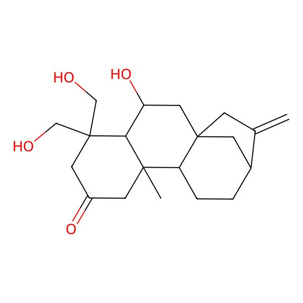2D Structure of (1R,3S,4R,9R,10S,13S)-3-hydroxy-5,5-bis(hydroxymethyl)-9-methyl-14-methylidenetetracyclo[11.2.1.01,10.04,9]hexadecan-7-one