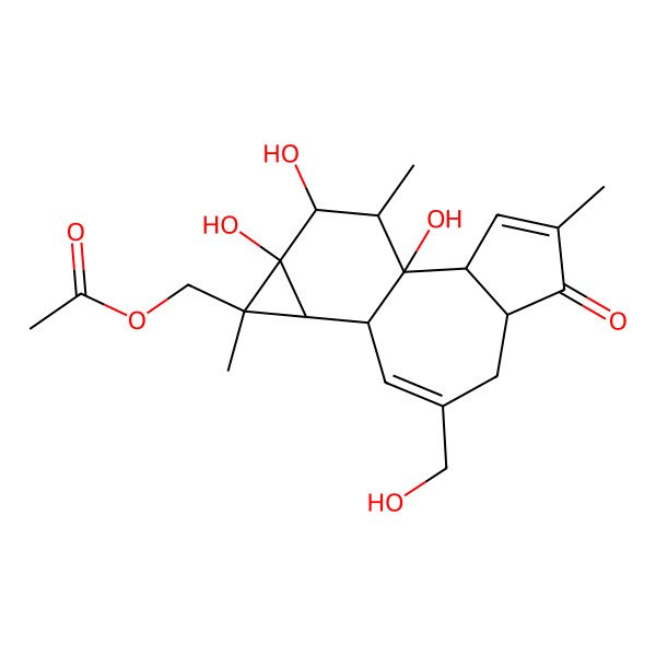 2D Structure of [1,13,14-Trihydroxy-8-(hydroxymethyl)-4,12,15-trimethyl-5-oxo-12-tetracyclo[8.5.0.02,6.011,13]pentadeca-3,8-dienyl]methyl acetate