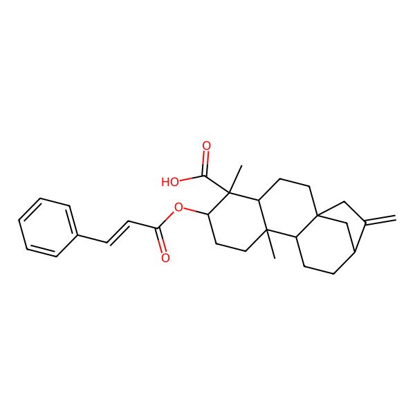 2D Structure of 5,9-Dimethyl-14-methylidene-6-(3-phenylprop-2-enoyloxy)tetracyclo[11.2.1.01,10.04,9]hexadecane-5-carboxylic acid