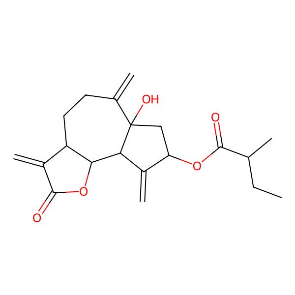 2D Structure of (6a-hydroxy-3,6,9-trimethylidene-2-oxo-4,5,7,8,9a,9b-hexahydro-3aH-azuleno[4,5-b]furan-8-yl) 2-methylbutanoate