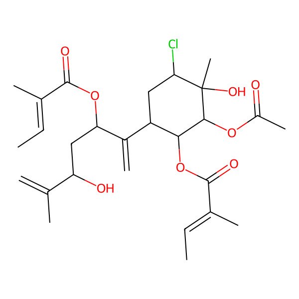 2D Structure of [(1S,2S,3S,4S,6R)-2-acetyloxy-4-chloro-3-hydroxy-6-[(3S,5R)-5-hydroxy-6-methyl-3-[(Z)-2-methylbut-2-enoyl]oxyhepta-1,6-dien-2-yl]-3-methylcyclohexyl] (Z)-2-methylbut-2-enoate