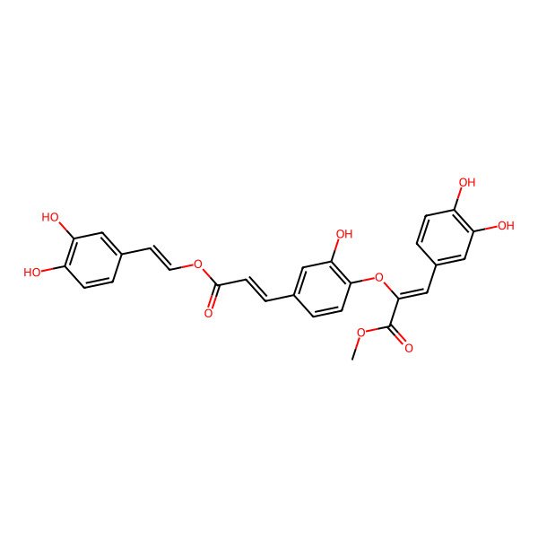 2D Structure of Methyl 3-(3,4-dihydroxyphenyl)-2-[4-[3-[2-(3,4-dihydroxyphenyl)ethenoxy]-3-oxoprop-1-enyl]-2-hydroxyphenoxy]prop-2-enoate