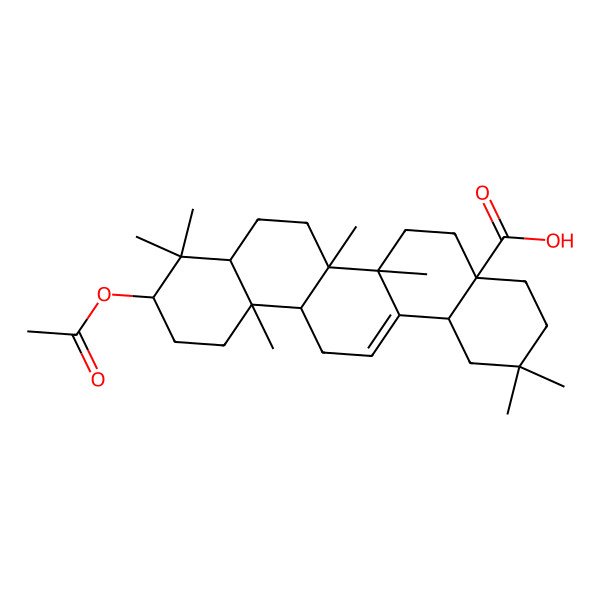 2D Structure of (4aS,6bR,10S,12aR,14bS)-10-acetyloxy-2,2,6a,6b,9,9,12a-heptamethyl-1,3,4,5,6,6a,7,8,8a,10,11,12,13,14b-tetradecahydropicene-4a-carboxylic acid 2D Structure of (4aS,6bR,10S,12aR,14bS)-10-acetyloxy-2,2,6a,6b,9,9,12a-heptamethyl-1,3,4,5,6,6a,7,8,8a,10,11,12,13,14b-tetradecahydropicene-4a-carboxylic acid