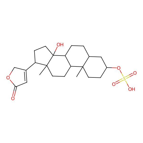 2D Structure of [(3S,5S,8R,9S,10S,13R,14S,17R)-14-hydroxy-10,13-dimethyl-17-(5-oxo-2H-furan-3-yl)-1,2,3,4,5,6,7,8,9,11,12,15,16,17-tetradecahydrocyclopenta[a]phenanthren-3-yl] hydrogen sulfate