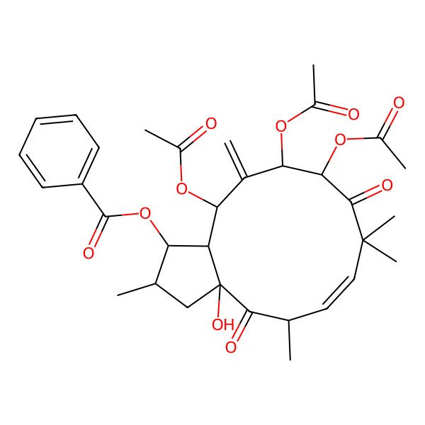 2D Structure of (10,11,13-Triacetyloxy-3a-hydroxy-2,5,8,8-tetramethyl-12-methylidene-4,9-dioxo-1,2,3,5,10,11,13,13a-octahydrocyclopenta[12]annulen-1-yl) benzoate