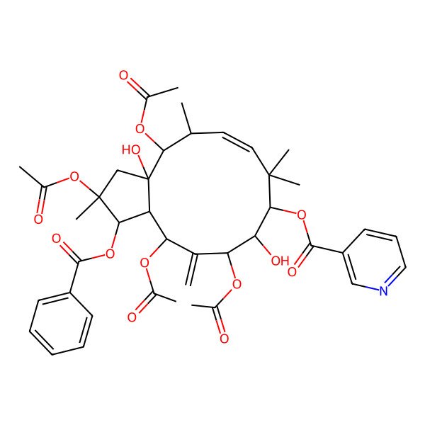 2D Structure of (2,4,11,13-tetraacetyloxy-1-benzoyloxy-3a,10-dihydroxy-2,5,8,8-tetramethyl-12-methylidene-3,4,5,9,10,11,13,13a-octahydro-1H-cyclopenta[12]annulen-9-yl) pyridine-3-carboxylate