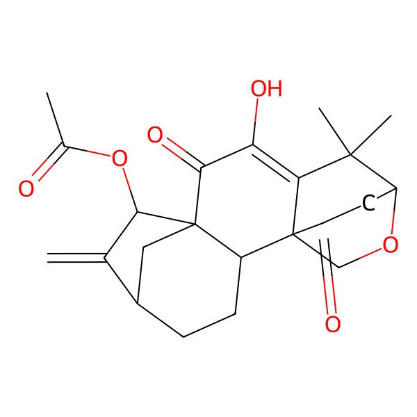 2D Structure of [(1S,2S,5R,7R,8S,13R)-10-hydroxy-12,12-dimethyl-6-methylidene-9,16-dioxo-14-oxapentacyclo[11.2.2.15,8.01,11.02,8]octadec-10-en-7-yl] acetate