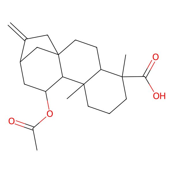 2D Structure of (1S,4S,5R,9R,10R,11S,13S)-11-acetyloxy-5,9-dimethyl-14-methylidenetetracyclo[11.2.1.01,10.04,9]hexadecane-5-carboxylic acid
