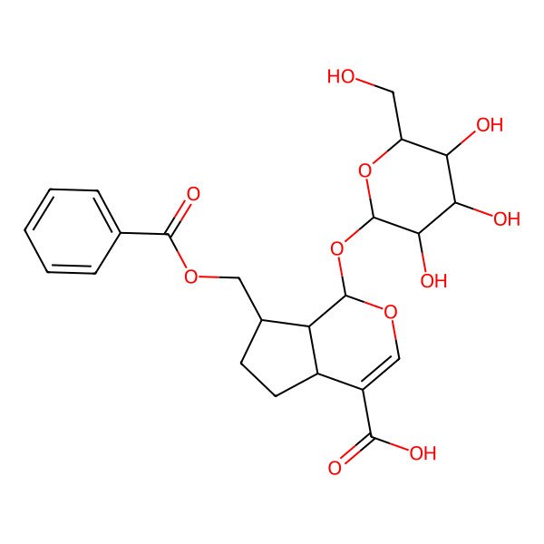 2D Structure of (1S,4aS,7S,7aS)-7-(benzoyloxymethyl)-1-[(2S,3R,4S,5S,6R)-3,4,5-trihydroxy-6-(hydroxymethyl)oxan-2-yl]oxy-1,4a,5,6,7,7a-hexahydrocyclopenta[c]pyran-4-carboxylic acid