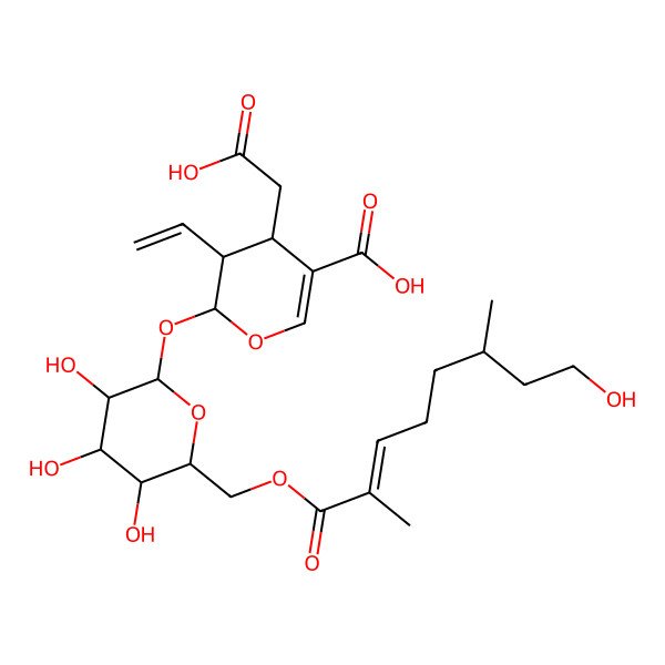 2D Structure of (2S,3R,4S)-4-(carboxymethyl)-3-ethenyl-2-[(2S,3R,4S,5S,6R)-3,4,5-trihydroxy-6-[[(E,6S)-8-hydroxy-2,6-dimethyloct-2-enoyl]oxymethyl]oxan-2-yl]oxy-3,4-dihydro-2H-pyran-5-carboxylic acid